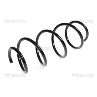 Triscan Feder vorne Mercedes C-Klasse W204 E-Klasse 875023137