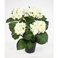 Kunstblume Hortensienbusch Deluxe 42cm im Topf LM Kunstpflanzen künstliche Blumen Hortensie, Seidenblumen Roß, Höhe 42 cm, Weiß-Creme
