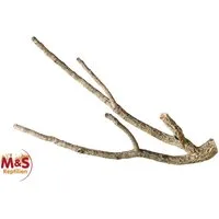 M&S Reptilien Terrariendeko Zierkork Tronchos verzweigt- SMALL- ca.50-70 cm