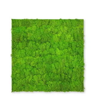 Wandpaneel MODULAR WALL