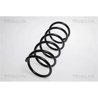 Triscan Feder vorne Subaru Justy Suzuki Ignis