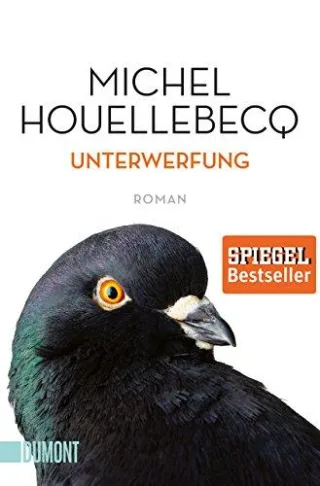 Unterwerfung: Roman (Taschenbücher)