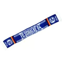 FC Schalke 04 Schal Fanschal ca. 150x17cm verschiedene Ausführungen 1 Stück