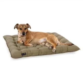 Doctor Bark Pointer Urban Kissen sandbraun XL