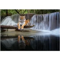 Wallarena Fototapete Wasserfall - Mehrfarbig - Modern - Vlies - Schlafzimmer, glatt, 104x70cm