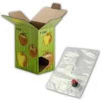 DEMA Entsafter Bag in Box Karton / Faltkarton inklusive Beutel / Saftbeutel 3 Liter