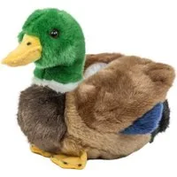 Teddys Rothenburg Kuscheltier Ente grün/schwarz/braun/blau 20 cm Plüschtier Stoffente (Plüschente, Stofftier, Plüscherpel)