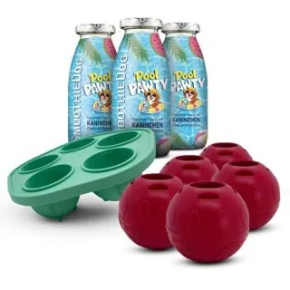 SmoothieDog Summer-Edition 3x 250 ml + Schleckball 5 Stück