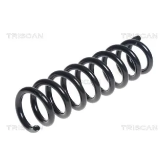 Triscan Feder hinten BMW 3er F30 875011197
