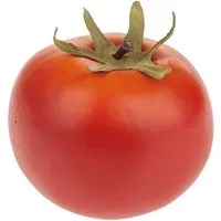 Kunstpflanze Plastik Tomate BIZEN, rot, 5cm Tomate, artplants, Höhe 4.5 cm