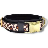 D by E Couture Hunde-Halsband "Golden Leo Love II", gepolstert, verstellbar, 30mm breit, Handmade