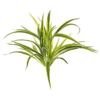 Künstliche Zimmerpflanze Künstliche Grünlilie Tasmin auf Steckstab, grün-weiß, 35cm, Ø40cm Grünlilie, artplants, Höhe 35.0 cm
