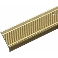Floordirekt Treppenkantenprofil Integral, 4 Farben & 3 Größen, Stufenkantenprofil, Form: L, Vorgebohrt, 30x20 mm