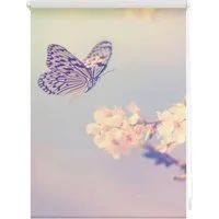 Seitenzugrollo Klemmfix Motiv Schmetterling, LICHTBLICK ORIGINAL, Lichtschutz, ohne Bohren, freihängend, Klemmfix, bedruckt