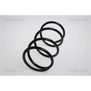 Triscan Feder vorne Nissan X-Trail 1