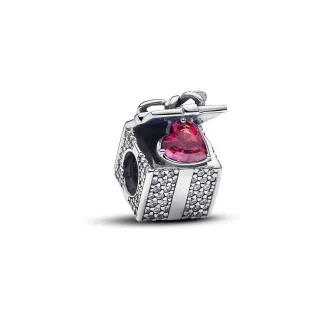Pandora Charm Moments 793603C01