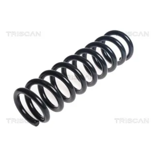 Triscan Feder Vorne Nissan Navara 2,3