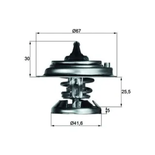 Mahle Thermostat Mercedes TX2975D