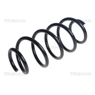 Triscan Feder vorne Citroen Jumpy Peugeot Expert 2,0 875028312