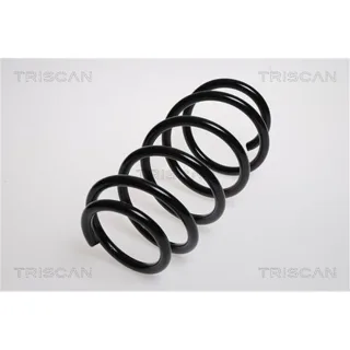 Triscan Feder vorne Opel Meriva Zafira 875024142