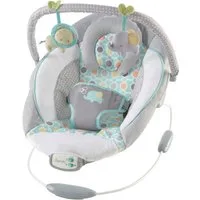 ingenuity Babywippe Soothing Bouncer, Morrison