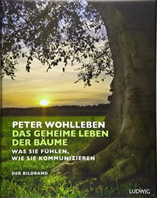 Das geheime Leben der Bäume: Was sie fühlen wie sie kommunizieren. Der Bildband. Mit dem vollständigen Text der Originalausgabe [Gebundene Ausgabe] [2016] Wohlleben Peter