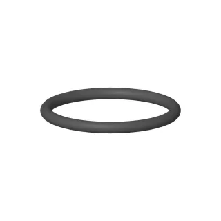 Dornbracht O-Ring Ersatzteile 091410044 24,6 x 2,4 mm 09141004490