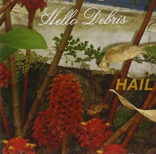 Hello Debris