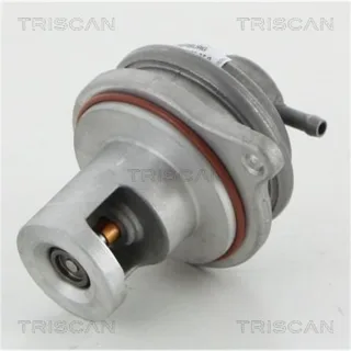 Triscan AGR-Ventil Mercedes A-Klasse B-Klasse Smart Fortwo