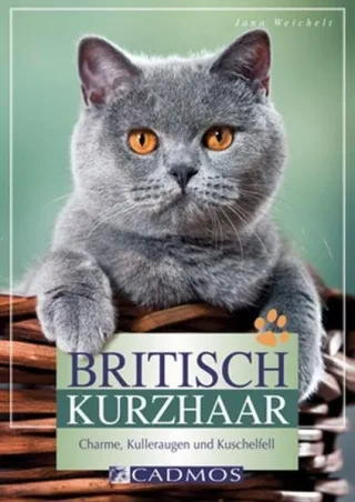 Britisch Kurzhaar: Charme Kulleraugen und Kuschelfell (Cadmos Heimtierpraxis)