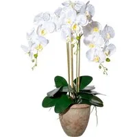 Kunstorchidee Orchidee Phalaenopsis Orchidee, Creativ green, Höhe 75 cm, mit traumhaft schönen Blüten