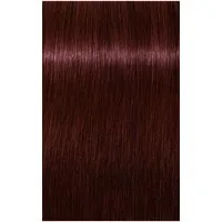 Schwarzkopf Haarfarbe Schwarzkopf Igora Royal 4-88 60ml