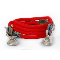 Rot