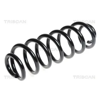 Triscan Feder hinten Skoda Superb VW Passat 875029258
