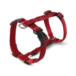 Wolters Geschirr Professional rot XS