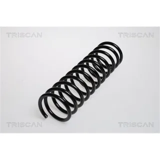 Triscan Feder hinten VW Golf Scirocco 87502913