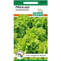 SAMEN PFANN Gemüsesamen Pflücksalat, Australischer gelber - Saatgut Salat-Samen Samen, Lactuca sativa