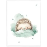 Babydecke babybest Kleiner Igel, Baby Best, niedliches Motiv