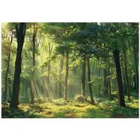 Wallarena Fototapete Vlies Wald Bäume Natur Grün Schlafzimmer, Wohnzimmer 300x210 cm, glatt, 300 x 210 cm
