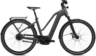 Damen E-Bike  Flyer Gotour 7.23 Trapez 750WH (Rahmenhöhe: L = 53 cm | 175 - 185 cm)