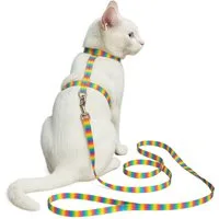 Beroni Sicherheitsgeschirr Katzengeschirr mit Leine verstellbar für kleine Katzen bunt leicht, Geschirr Katze mit 150 cm langer Leine mit Öffnung am Hals