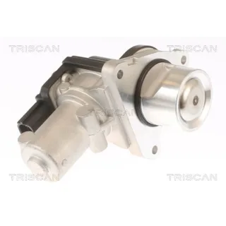 Triscan AGR-Ventil Hyundai Kia 881343010