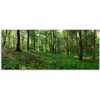 Artland Glasbild Panorama von einem grünen Sommerwald, Wald (1 St), in verschiedenen Größen