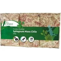 sphagnum-shop.com Terrarien-Substrat Sphagnum Moos Moosziegel aus Chile für Terrarium und Orchideen, Chilenische Premium-Qualität, Ideal für Pflanzenpflege & Terraristik