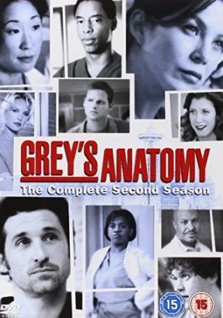 Grey's Anatomy - Complete - Season 2 [UK Import]