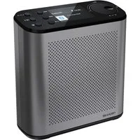 Sharp DR-P530(GY) Digitalradio (DAB) (Digitalradio (DAB), UKW mit RDS)