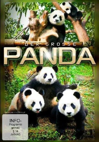 Der große Panda [DVD] [2014]