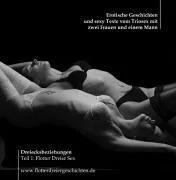 Dreiecksbeziehungen Teil 1: Flotter Dreier Sex - Erotische Geschichten und sexy Texte vom Triosex mit zwei Frauen und einem Mann [Audio CD] [2004] Allure Angelica Gieseke Daniel