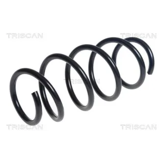 Triscan Feder vorne Ford Tourneo Transit 875016154