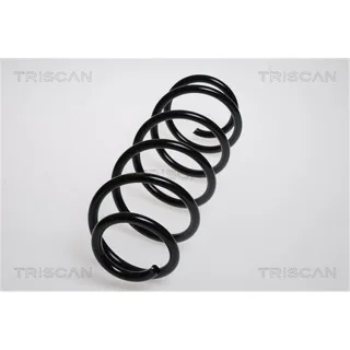 Triscan Feder vorne Peugeot 407 875028109
